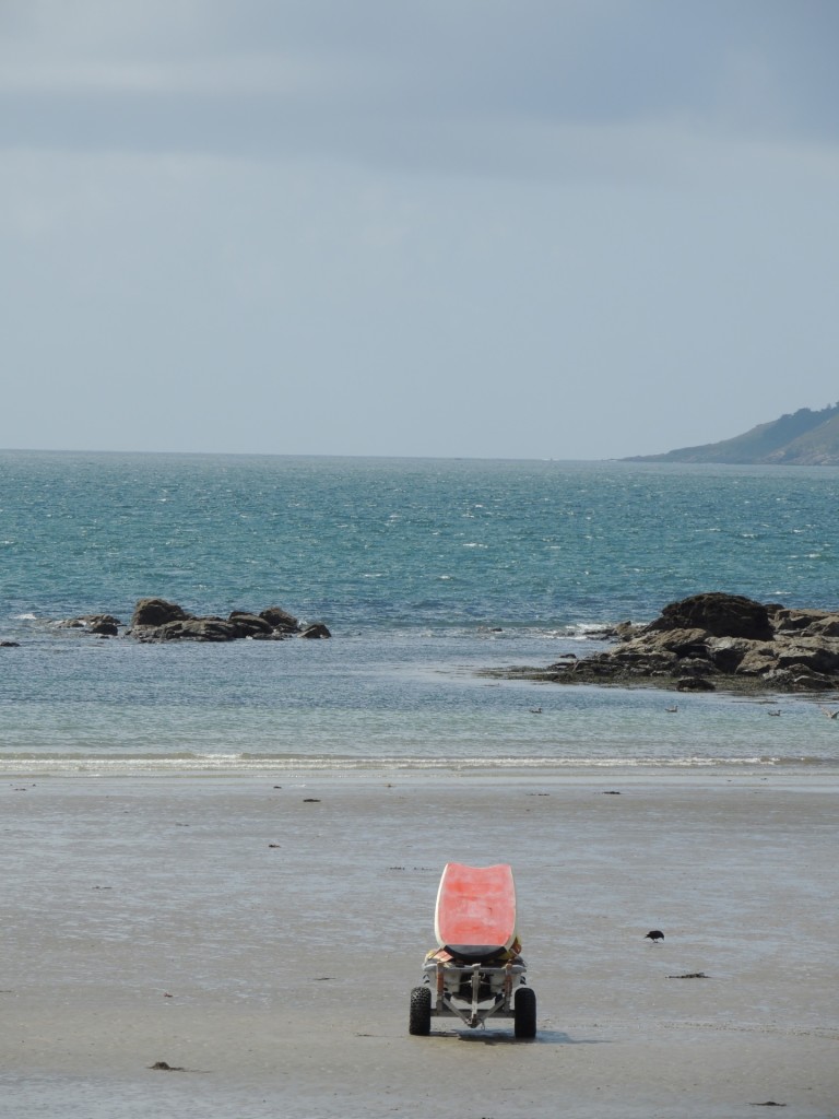 Lifeguards Surfboard