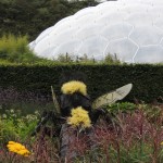 Eden Project Giant Bee