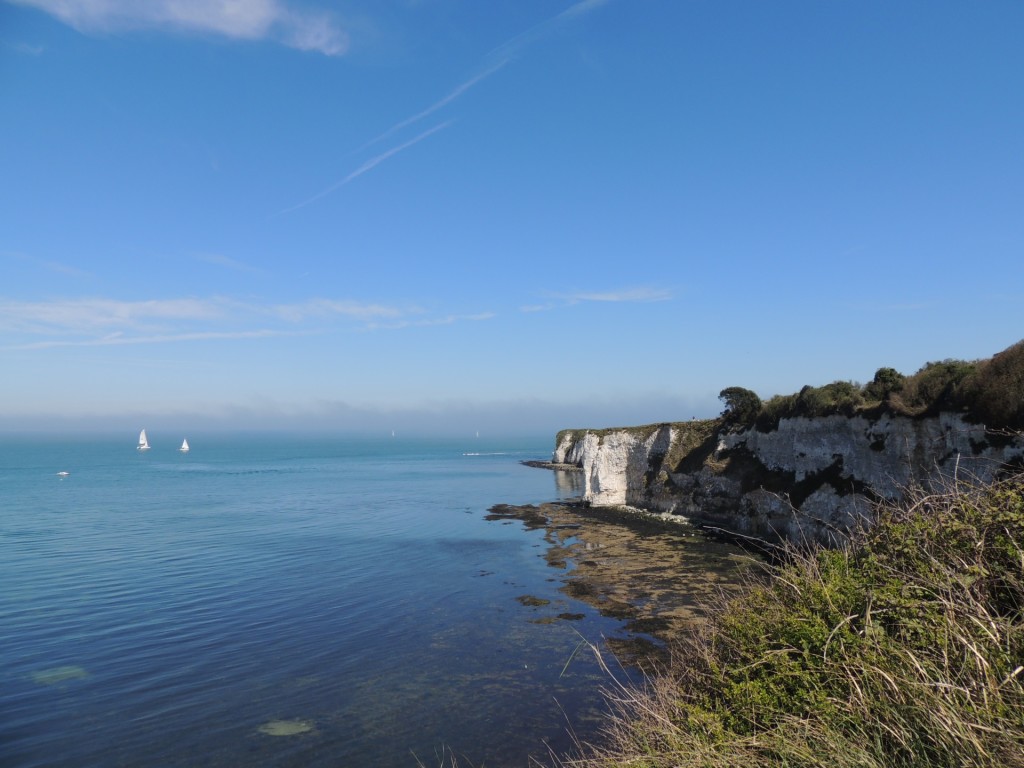 Old Harry Rocks View